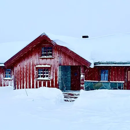Tatil Evi Large With Sjusjoens View, Sauna And In Out